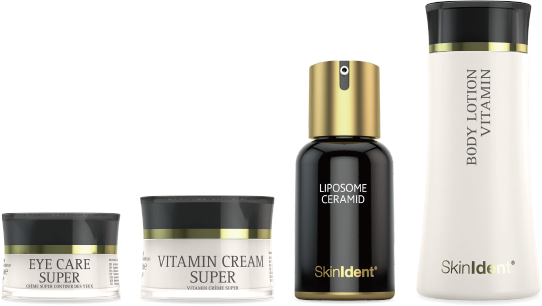 Baumann Group001.webp