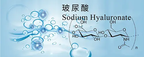 Hyaluronate1
